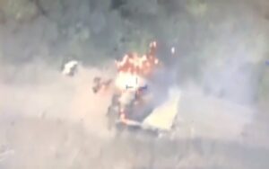 MyCollages_-_2023-06-16T103740.891