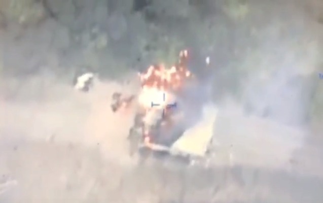 MyCollages 2023 06 16T103740.891