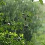 Da8c8344 c930 4c4f a559 cd318474ad7c