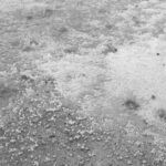 E2d07017 5f9b 36a5 80e5 4f52817ec4e9