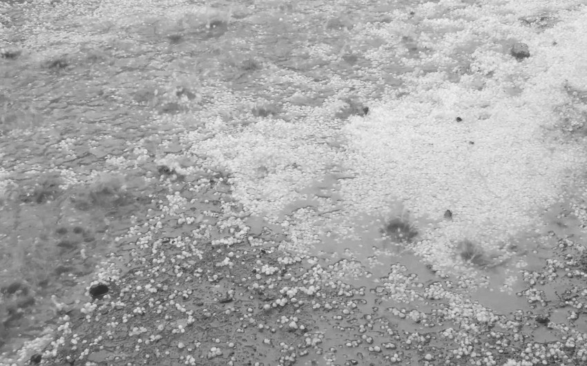 E2d07017 5f9b 36a5 80e5 4f52817ec4e9