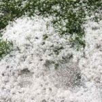 E6cdbfe5 e832 4956 8406 8cdba4b1a9dc