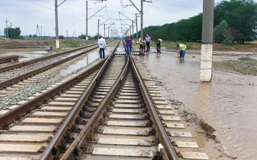 E9cfb564 0c8e 37fa 887a ed9c2cbb49dd