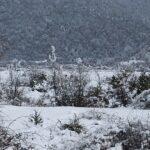 Ed1c615f a875 3392 bd1a 9eb4fc04cac0