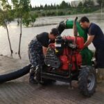 Ff69b293 aa9c 3542 a944 8b119da038d9