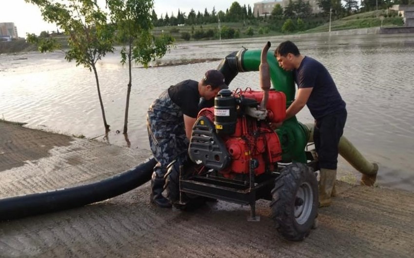 Ff69b293 aa9c 3542 a944 8b119da038d9