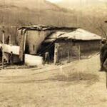 Images 2023 06 14T150824.701