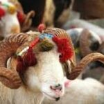 Images 2023 06 22T093236.371