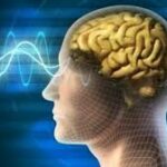 Images 2023 06 26T131205.528