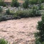 Indir 2023 06 24T120026.350