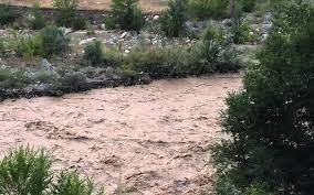 Indir 2023 06 24T120026.350