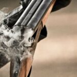 259f938e 77ed 42d8 a791 e4d164356e44