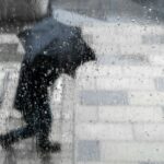 44fab79d 4d95 34aa b483 6329415e9f45 850 (1)