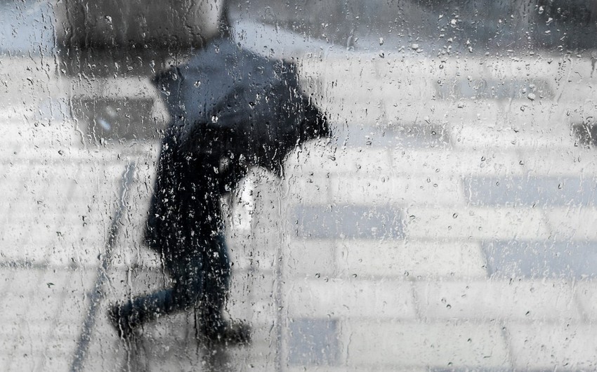 44fab79d 4d95 34aa b483 6329415e9f45 850 (1)