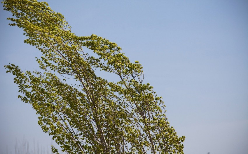 45c7a626 8811 3f10 b236 371be36c27ea