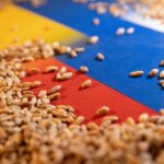 91eb422a 49e7 3d43 9046 742876a0b8f7