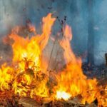 C1912afb 5c0f 390e 8ac1 af1a700c8248