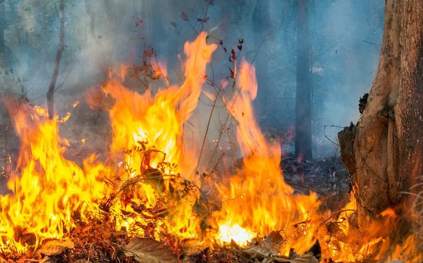 C1912afb 5c0f 390e 8ac1 af1a700c8248