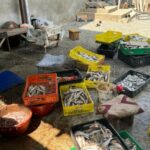 E5232f86 72da 327f ab9c d4968d4950ae