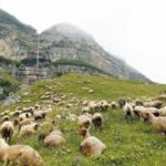 Images 2023 07 18T115453.075