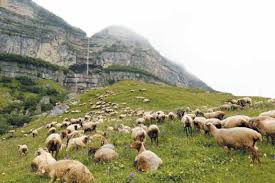 Images 2023 07 18T115453.075