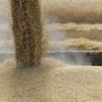 Images 2023 07 18T135825.118