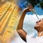 Indir 2023 07 18T145414.171