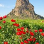 Indir 2023 07 19T133428.687