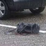 Indir 2023 07 20T090714.635