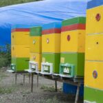 314a0dbd 3a0a 3e18 b981 17bfcbfaec2c