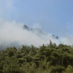 522fdb97 3a90 3363 8692 afa37a49a141