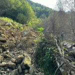 64d46b940a8c264d46b940a8c3169164277264d46b940a8c064d46b940a8c1