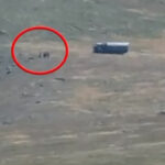 FotoJet 2023 08 16T161720.695