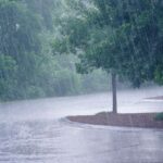 C832abce fce3 3661 b172 76f3b40bea4f