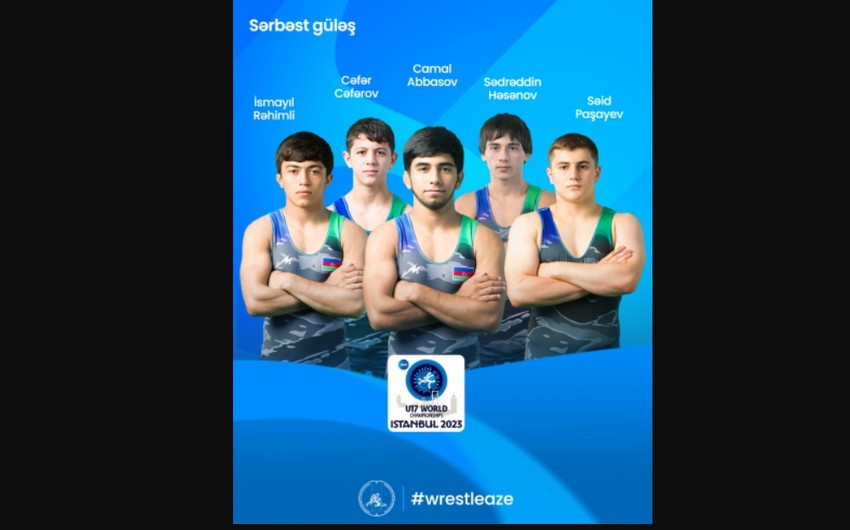 F0bbd7eb 4ddd 3661 b723 86348a2ef77a