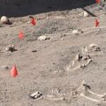 Images 2023 08 15T163643.581