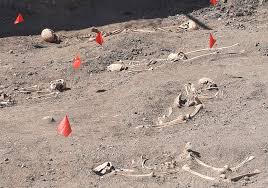 Images 2023 08 15T163643.581