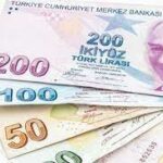 Indir 2023 08 03T121853.262