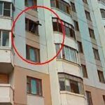 Indir 2023 08 19T103617.718