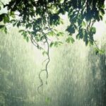 16940804434270431523 1200x630