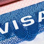 2a7fbcc0 b1c8 3c9e 915d a528964c94f6