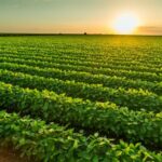 75b07bb5 d6c0 3bd5 a945 746501ff73a5