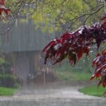 Fd600d0c 9491 3004 8a5d 5f1af798a303