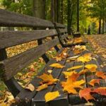 Images 2023 09 22T144121.920