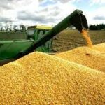 Indir 2023 09 04T095258.777