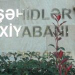 Photo 5233517671830638630 y