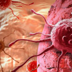 1691664033130820567264d4bea1c454f