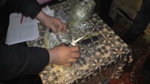 50423dc3-59e4-3a73-b28b-0af933a7349b