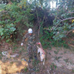 6520f4cc270966520f4cc2709716966586366520f4cc270946520f4cc27095