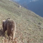 653a04b6de002653a04b6de0031698301110653a04b6de000653a04b6de001